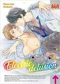 Electric delusion, Vol. 4 (Mousou Elektel #4) by Yonezou Nekota