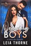 Nefarious Boys (Broken Saints Society #3) by Leia Thorne