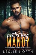 Protecting Mandy (McCallister Military Brothers #1) by Leslie North