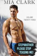 Stepbrother, Please Stop Teasing Me! (Volume Twenty-Three) by Mia Clark