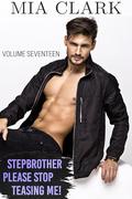 Stepbrother, Please Stop Teasing Me! (Volume Seventeen) by Mia Clark