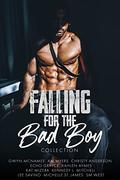 Falling for the Bad Boy Collection by Michelle St. James