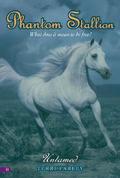 Untamed (Phantom Stallion #11) by Terri Farley