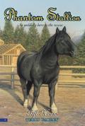 Gift Horse (Phantom Stallion #9) by Terri Farley