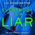 Everybody is a Liar by Dallis Seeker