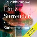 Little Surrenders by Ellen Archer