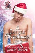 A Little Christmas 3: Jasha by Brina Brady