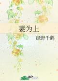 The Wife is First 妻為上 (妻为上 #1-2) by Lu Ye Qian He