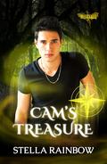 Cam's Treasure (Heirs of Mistvale #1) by Stella Rainbow