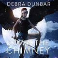 Down The Chimney by Debra Dunbar