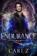 Endurance by Cari Z.