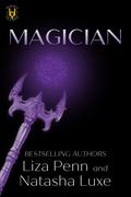 Magician (Heroes and Villains #4) by Natasha Luxe