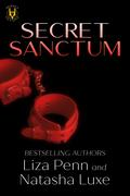 Secret Sanctum (Heroes and Villains #3) by Liza Penn