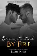Devastated by Fire (Firehouse 13 #7) by Lizzie James