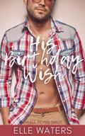 His Birthday Wish (His Ever After #2) by Elle Waters