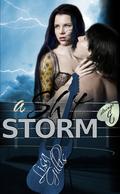 A Shit Storm (Silver Strings E #1) by Lisa Gillis