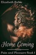 Home Coming (Pain and Pleasure #1) by Elizabeth Noble