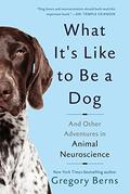 What It's Like to Be a Dog: And Other Adventures in Animal Neuroscience by Gregory Berns