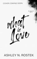 What Is Love (The Bridge #1) by Ashley N. Rostek