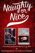 Naughty or Nice by Ann Gallagher