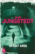 Den mörka ängeln (Anders Knutas #6) by Mari Jungstedt
