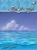 Aab-e-Hayat/آبِ حیات (Peer-e-Kamil #2) by Umera Ahmed