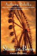 Stain of the Berry (Russell Quant #4) by Anthony Bidulka