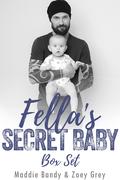Fella's Secret Baby Box Set by Maddie Bandy