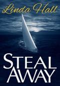 Steal Away (Teri Blake-Addison #1) by Linda Hall