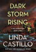 Dark Storm Rising (Kate Burkholder #15.5) by Linda Castillo