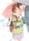 A Condition Called Love Vol. 14 (花野井くんと恋の病 [Hananoi-kun to Koi no Yamai] #14) by Megumi Morino