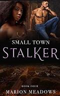 Small Town Stalker (Sins of the South #4) by Marion Meadows
