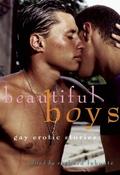 Beautiful Boys: Gay Erotic Stories by Michael Bracken