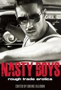 Nasty Boys by Michael Bracken