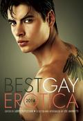 Best Gay Erotica 2014 by K. Lynn