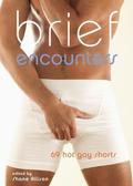 Brief Encounters: 69 Hot Gay Shorts by Michael Bracken