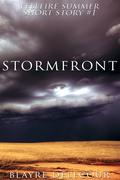 Stormfront (Fellfire Summer #1.5) by Blayre Delecour