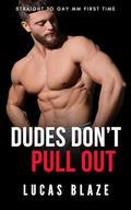 Dudes Don't Pull Out: Straight To Gay MM First Time by Lucas Blaze