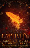 Captivity (Captivity #1) by Sarah Biglow