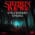 Strawberry Spring by Ken Marino