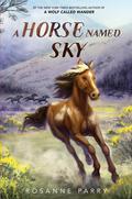 A Horse Named Sky (Voice of the Wilderness #3) by Rosanne Parry