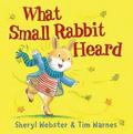 What Small Rabbit Heard by Tim Warnes