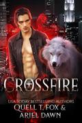 Crossfire by Ariel Dawn