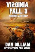 VIRGINIA FALL 3: Sunshine and Snow by Dan Gilliam