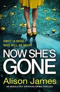Now She's Gone (Detective Rachel Prince #2) by Alison James