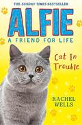 Alfie Cat In Trouble (Alfie: A Friend for Life #1) by Rachel Wells