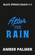After the Rain by Amber Palmer