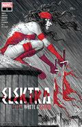 Elektra: Black, White & Blood #1 (Elektra: Black, White & Blood #1) by Leonardo Romero