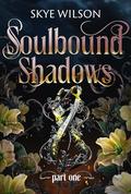 Bound By Blood And Magic (Soulbound Shadows #1) by Skye Wilson