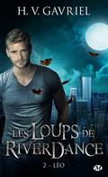 Léo (Les Loups de Riverdance #2) by H.V. Gavriel